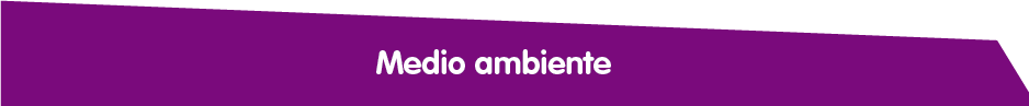 Medio Ambiente Titulo